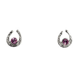 Finishing Touch of Kentucky Earrings - Mini Horseshoe - Silver & Amethyst