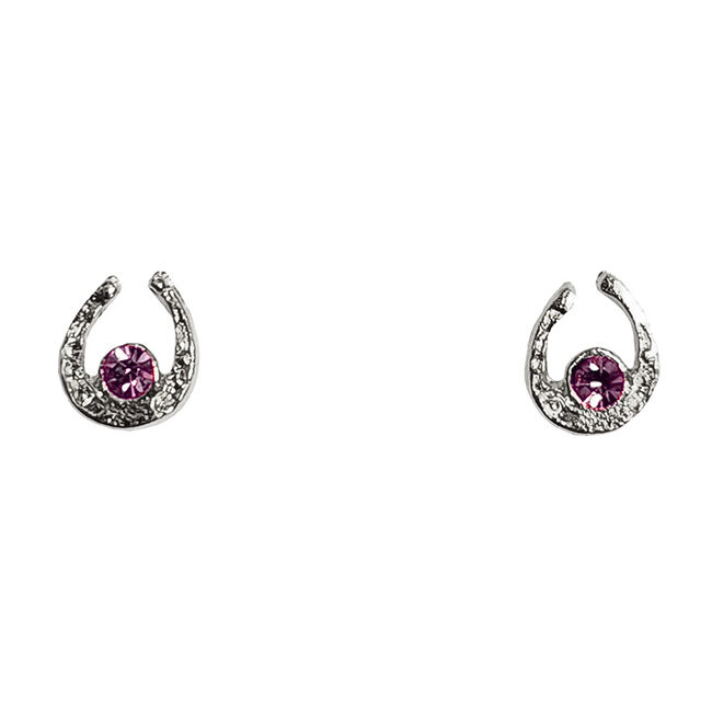 Finishing Touch of Kentucky Mini Horse Shoe Earrings - Silver and Amethyst image number null