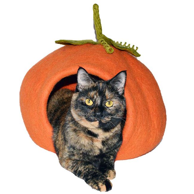 Dharma Dog Kharma Cat Wool Pumpkin Cave image number null