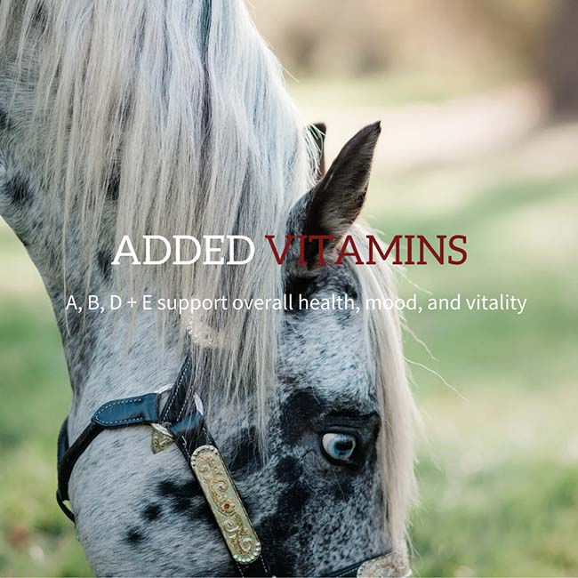 Redmond Equine Electrolyte Paste - 40 cc Syringe image number null