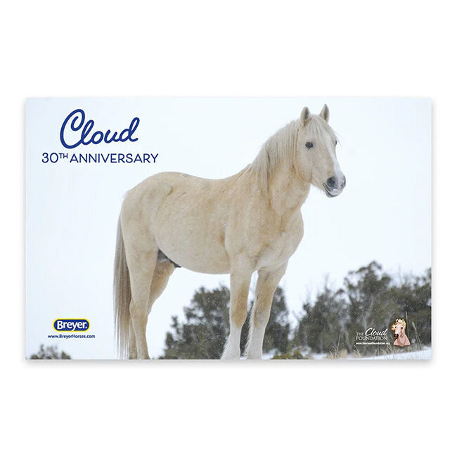 Breyer Cloud - 30th Anniversary Edition image number null
