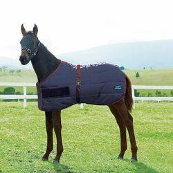 WeatherBeeta 420D Foal Turnout with Standard Neck (220g Fill) - Navy/Burgundy