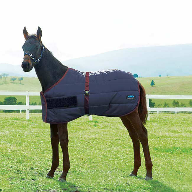 WeatherBeeta 420D Foal Turnout with Standard Neck (220g Fill) - Navy/Burgundy image number null