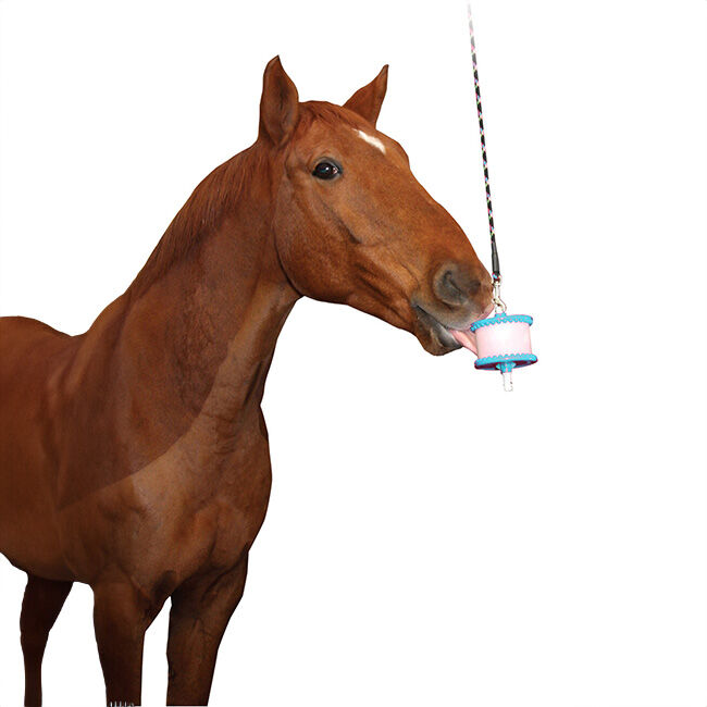 Likit Holder image number null