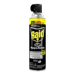 Raid Wasp & Hornet Spray - 17.5 oz