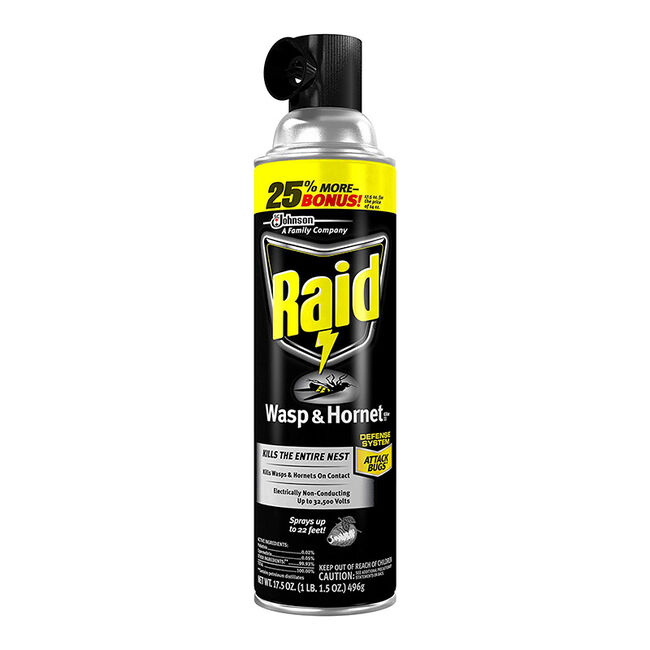 Raid Wasp & Hornet Spray image number null