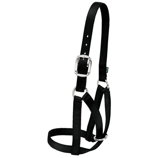 Weaver Barn Cow Halter image number null
