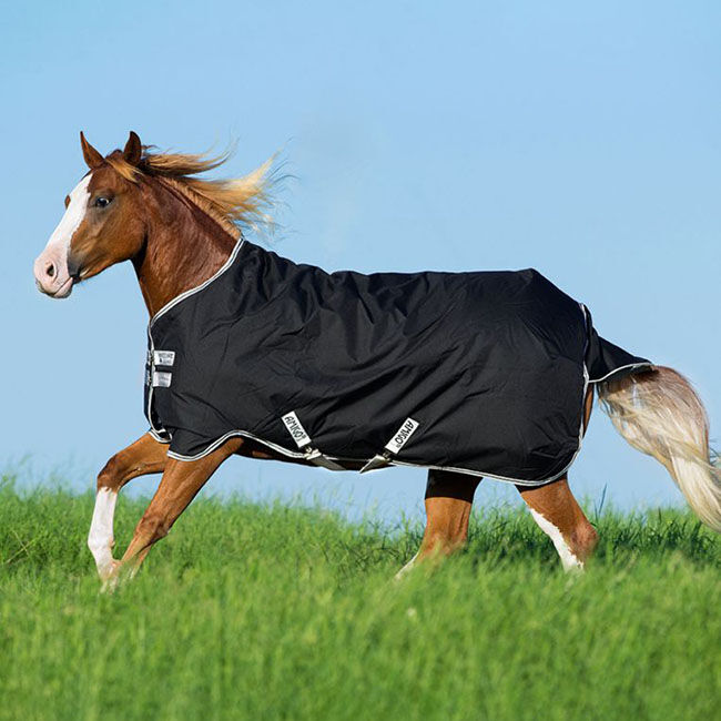 Horseware Amigo Stock Horse Medium Turnout image number null