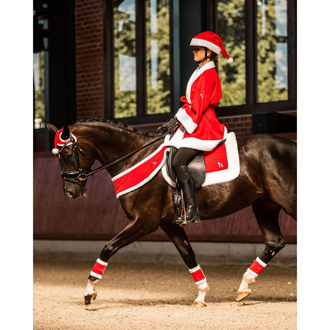 Horze Santa Harness image number null