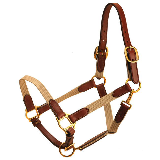 Tory Leather Leather & Cotton Web Halter image number null