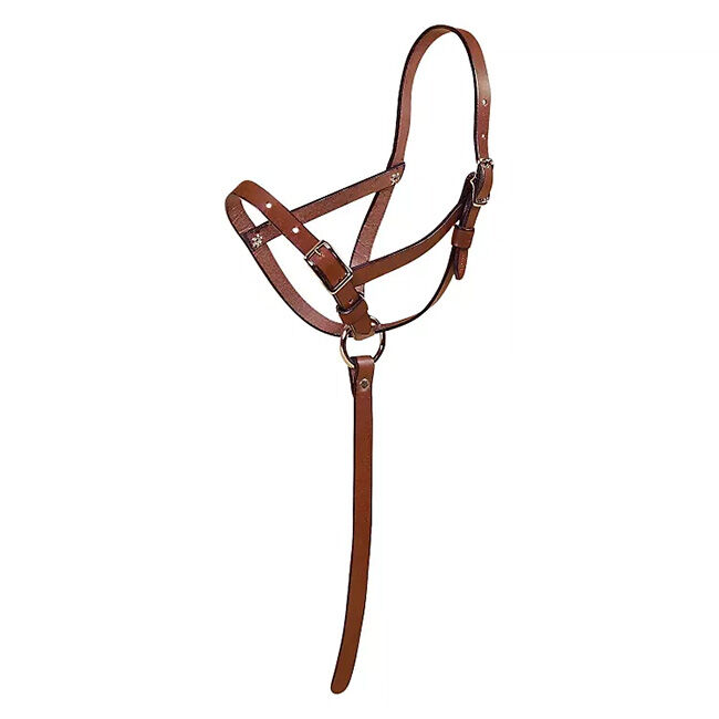 Tory Leather Slip Foal Halter image number null