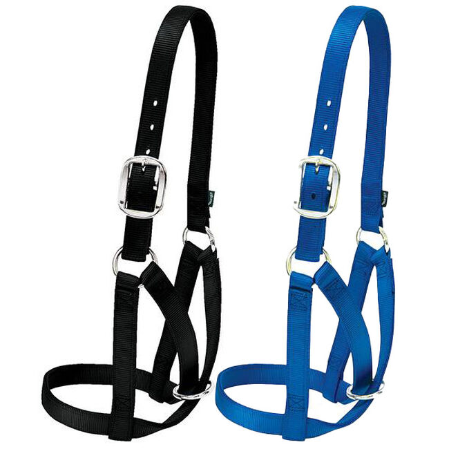 Weaver Livestock Barn Cow Halter image number null