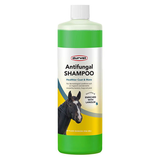 Durvet Antifungal Shampoo for Horses - 32 oz image number null