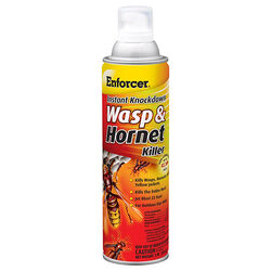 Zep Enforcer Instant Knockdown Wasp & Hornet Killer - 16 oz