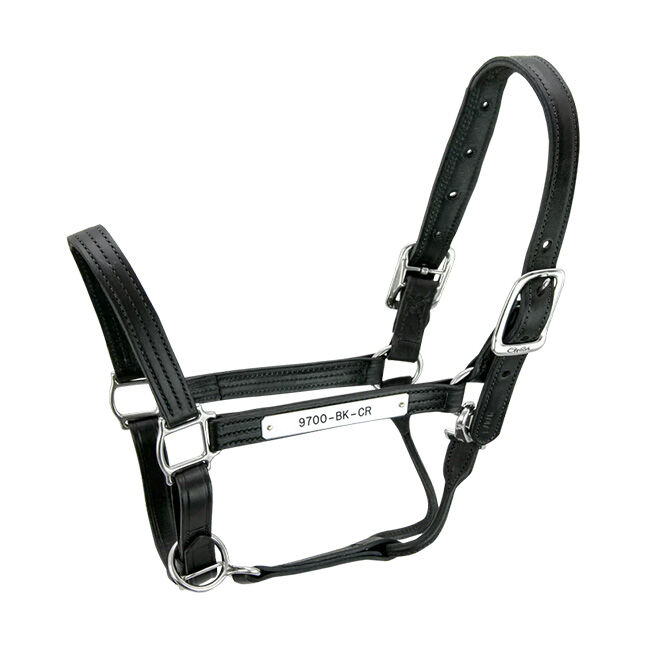 Walsh Kentucky Halter image number null