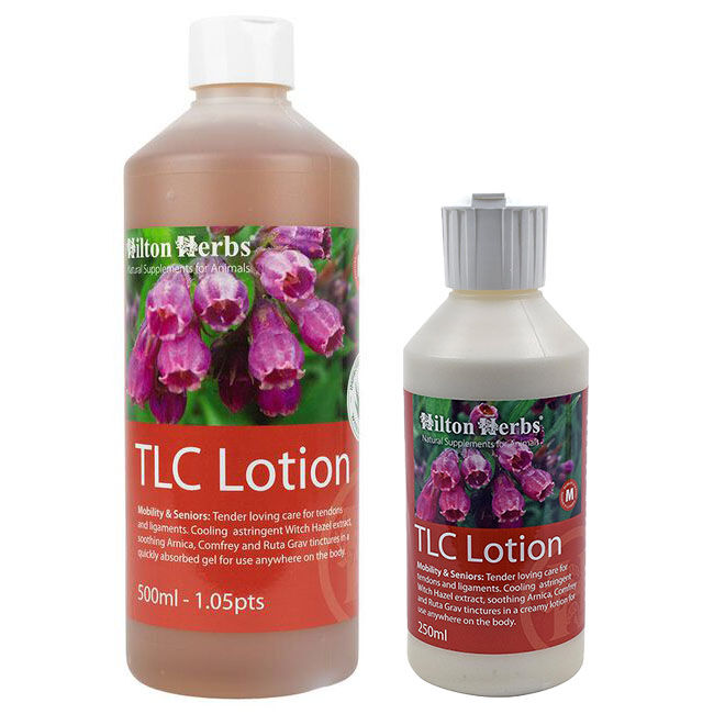 Hilton Herbs TLC Lotion - Horse Liniment image number null