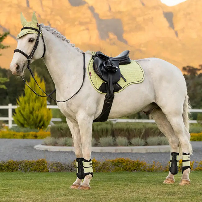 LeMieux Suede All Purpose Pad - Macaron image number null