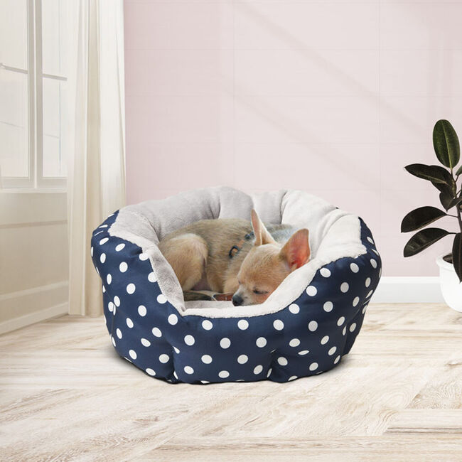 Spot Cosmo Polka Dot Bed - Assorted Colors - Closeout image number null