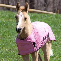 Schneiders UltraFlex Foal Saver - Pink