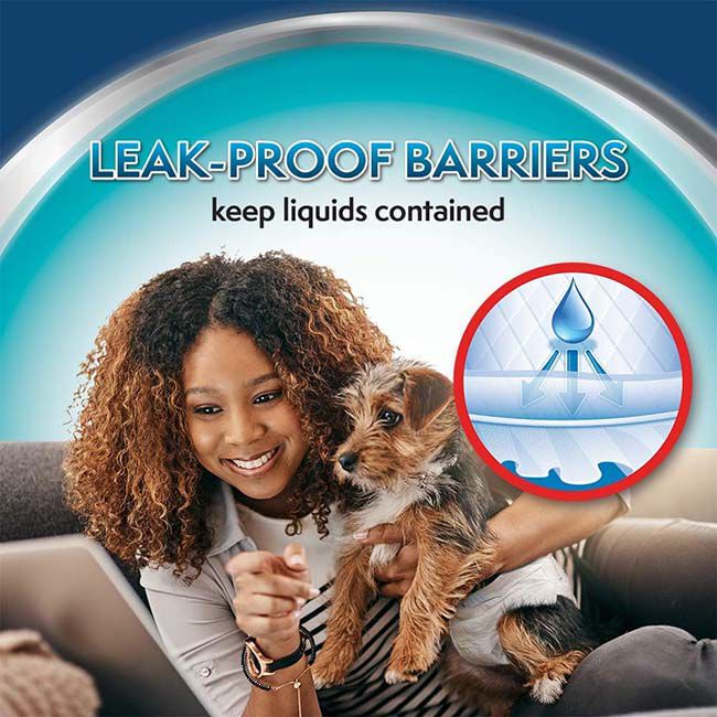 Simple Solution Disposable Female Dog Diapers - 12-Count image number null