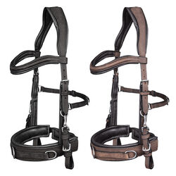 Waldhausen Anatomic Cavesson