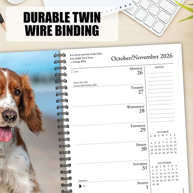 Willow Creek Press 2026 Engagement Calendar - What Dogs Teach Us image number null