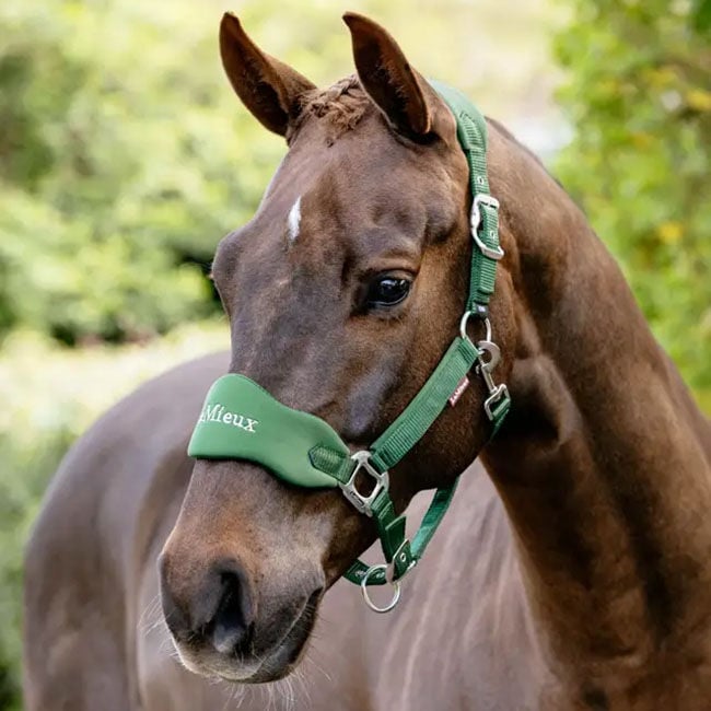 LeMieux Vogue Breakaway Halter - Hunter Green image number null