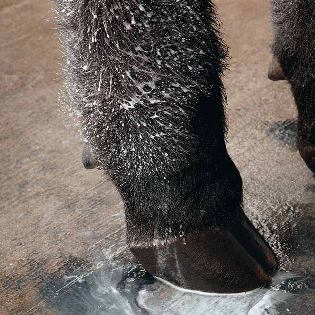 Weaver Livestock ProRefit - Adhesive & Paint Remover - 14 oz image number null