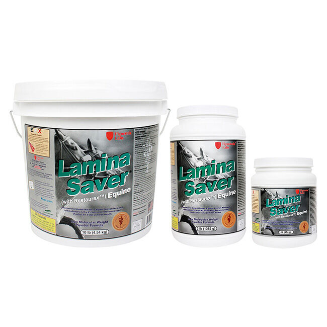 Figuerola Labs LaminaSaver - Supplement for Laminae Health image number null