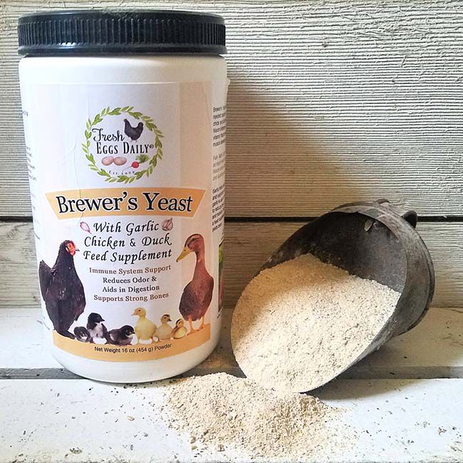 Brewers yeast and garlic powder top