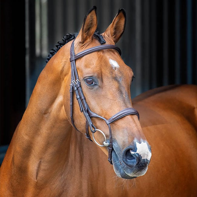 Shires Velociti Lusso Reins