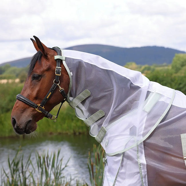 Shires Highlander Fine Mesh Fly Sheet & Neck Set - White/Sage image number null
