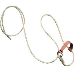 Beiler's Halter with Lead and Leather Nose Strap