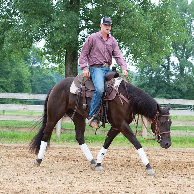 Weaver Equine Brushed Fleece Polo Wraps - 4-Pack image number null