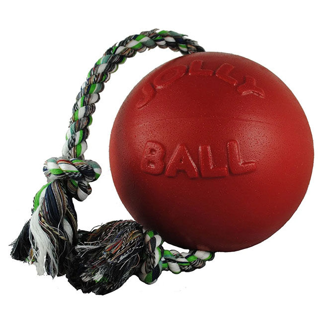 Jolly Pets Romp-N-Roll Dog Toy image number null