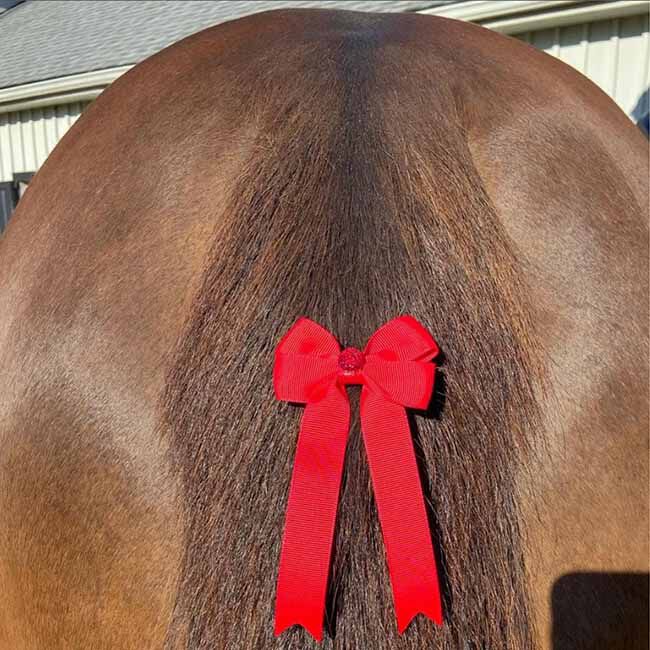Benny Bows Red Tail Ribbon image number null