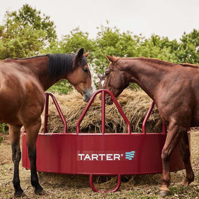 Tarter Equine Pro Hay Feeder with Hay Saver image number null