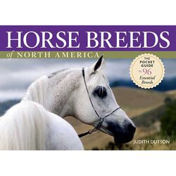 Horse Breeds Of North America