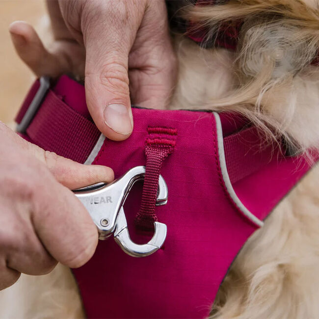 Ruffwear Front Range Harness The Cheshire Horse