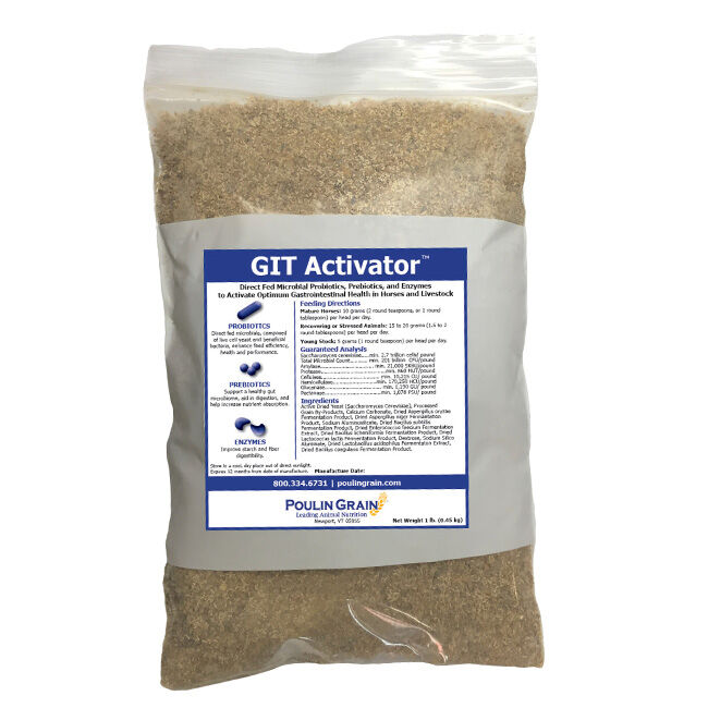 Poulin Grain GIT Activator - 1 lb image number null