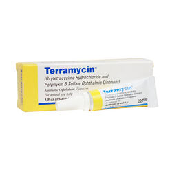 Zoetis Terramycin Opthalmic Ointment for Animal Use - 3.5 g
