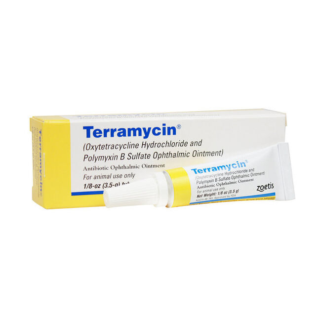 Zoetis Terramycin Opthalmic Ointment for Animal Use image number null