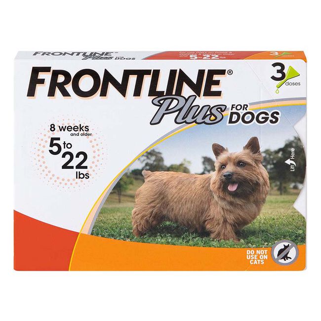 Frontline Plus Flea & Tick Treatment for Dogs image number null