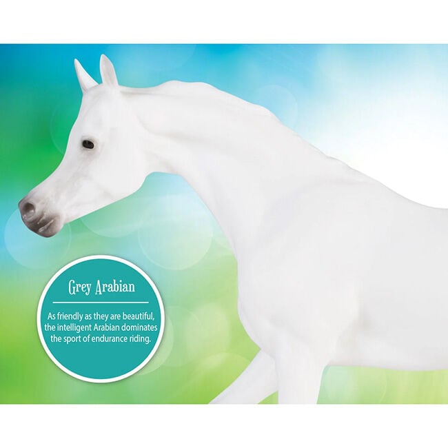Breyer Grey Arabian image number null