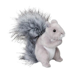 Douglas Shasta the Gray Squirrel