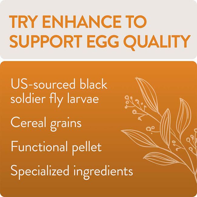 FlockLeader FUNctional Poultry Treats - Enhance - Egg Production Formula image number null