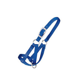 Weaver Livestock Llama Halter