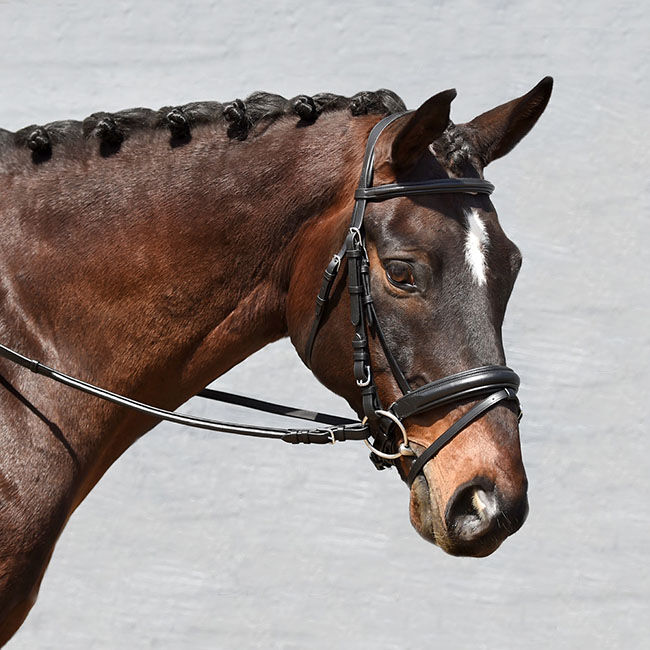 Bobby's English Tack Signature Series Monocrown Padded Dressage Bridle with Crank image number null