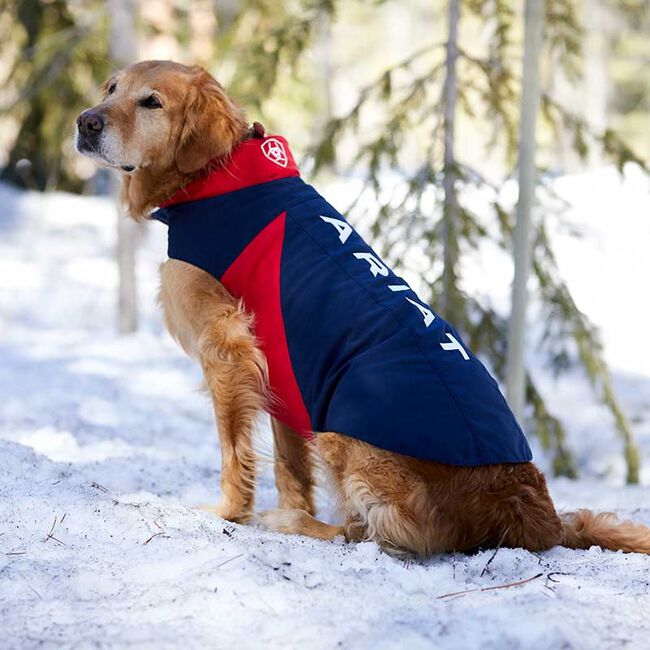 Ariat Team Softshell Dog Jacket - Navy image number null