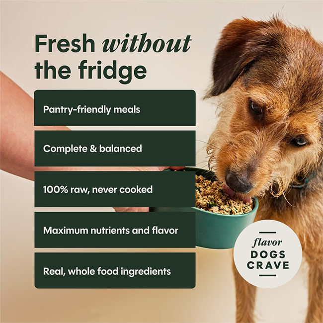 Instinct FreshDried Grain-Free Freeze-Dried Raw Meal Blends for Dogs - Cage-Free Chicken & Supergreens image number null